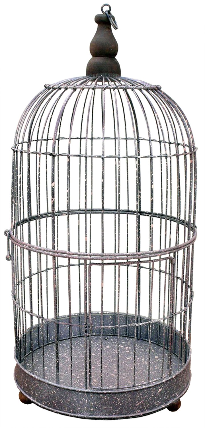 Amazon.co.jp: azi-azi ハンドメイド 鳥かご L ラウンド : DIY・工具