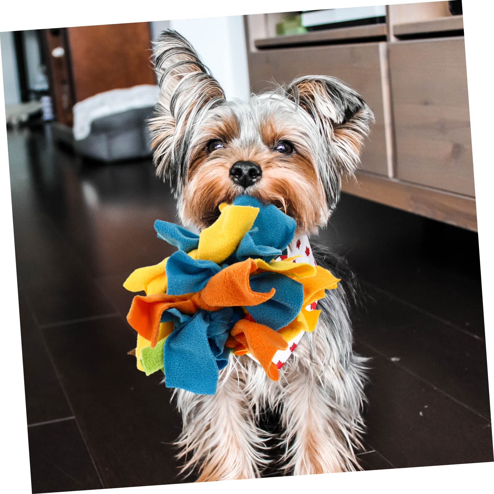 Kisangel 1 Pc de Juguete Dog Toys comedero para Perros Juguete de Entrenamiento para Cachorros s de alimentación Lenta para Perros para Mascota