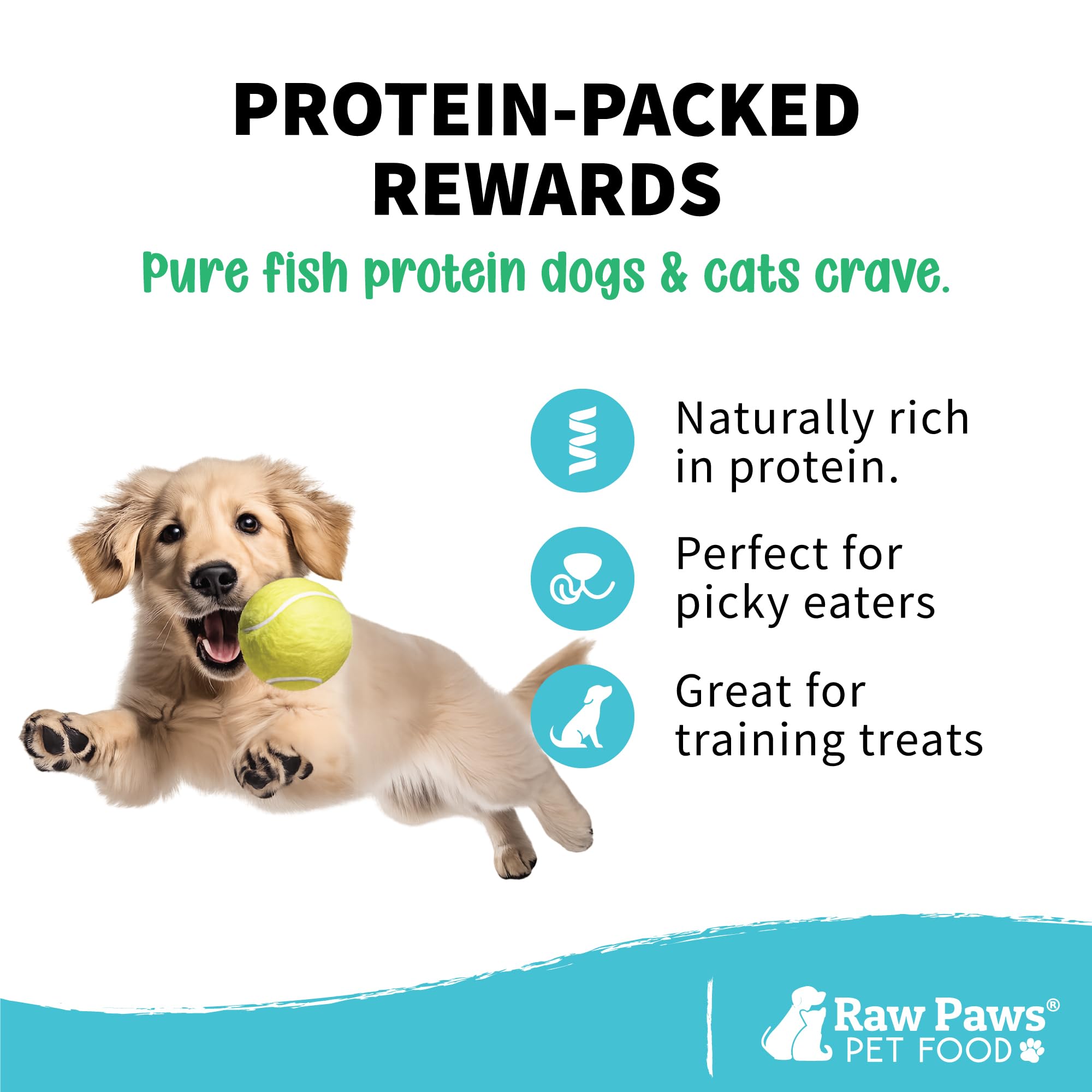 Raw Paws Pet Freeze Minnows secos para perros y gatos – Estados Unidos Fish Dog Treats – todos natural, único ingrediente Minnow Cat Treats – Raw Freeze Dried Dog Snacks – Grain Free Cat Reward,