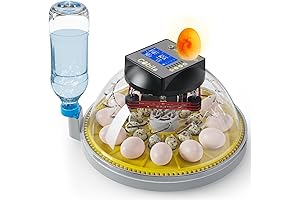 Chick Incubator with Automatic Egg Turner and Humidity Control