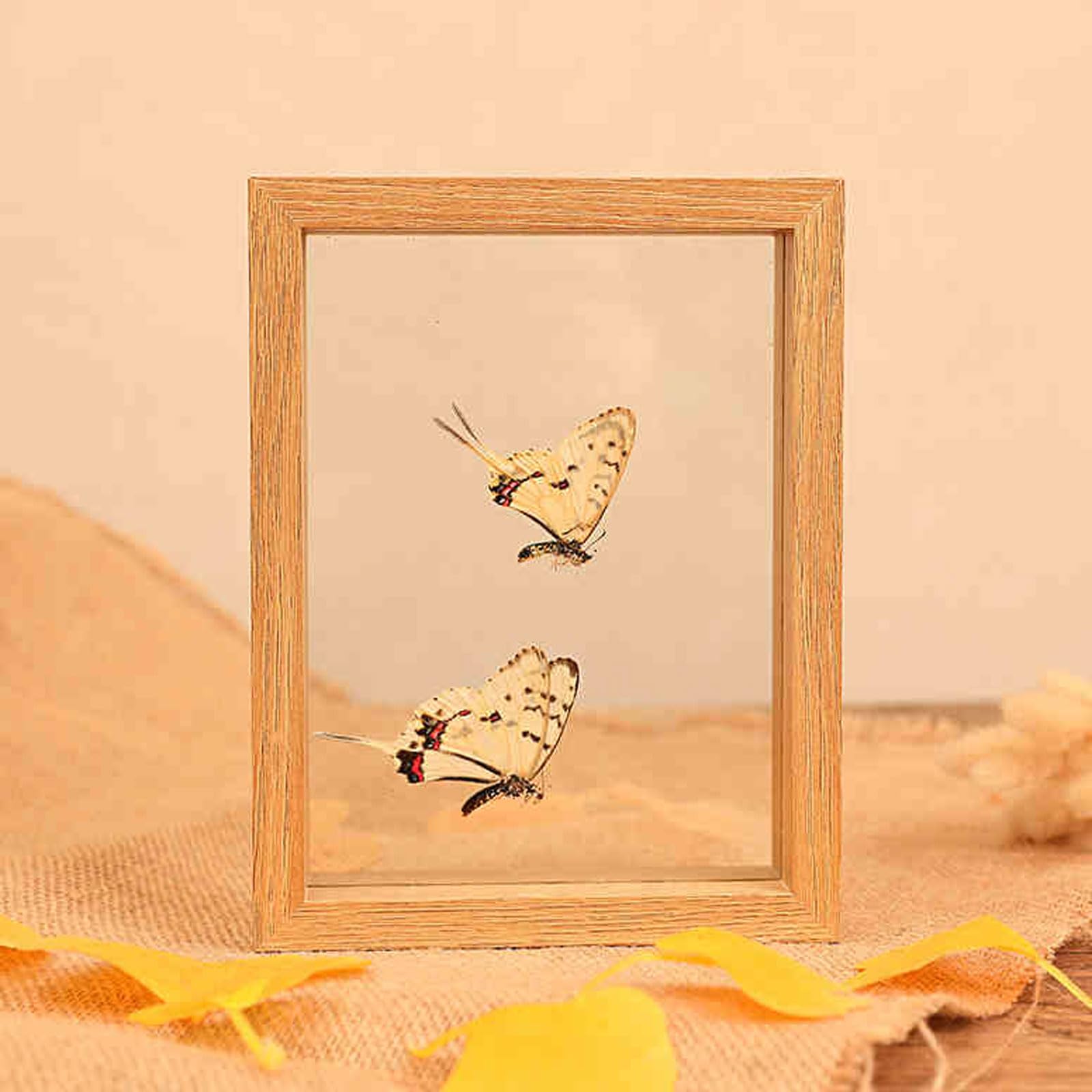 Double Sided Floating Photo Frame, Double-Sided Glass Photo Frame Walnut Wood Color Multiple Sizes(Wood Color,8 Inches [15.3 * 20.5cm])