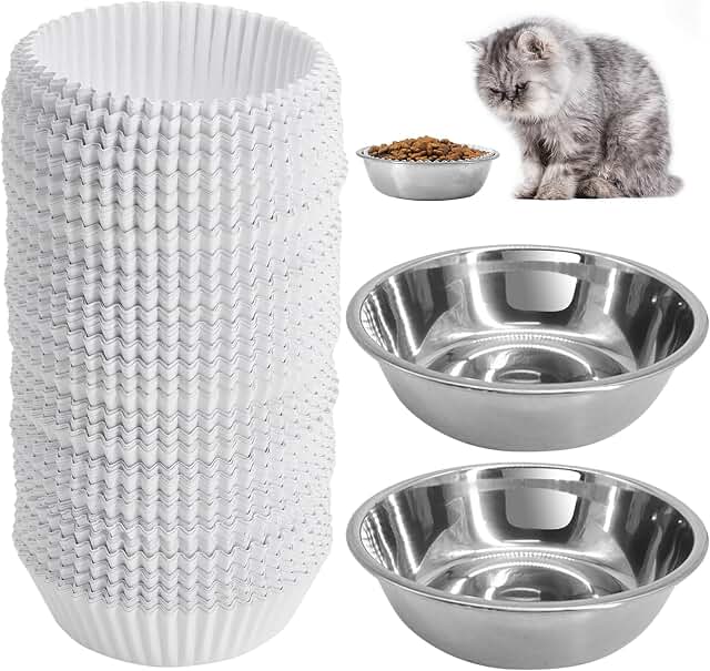 Disposable paper cat food bowls with stainless steel dishes