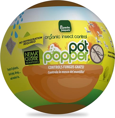 Nema Globe Pot Popper - 8 x 1 millón de nematodos beneficiosos (S.feltiae), producto orgánico para interiores, control de moscas del mantillo y de