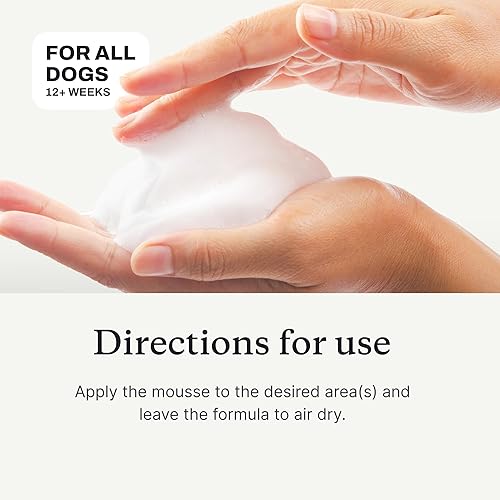 Miniatura 5 de Petlab Co. Mousse para aliviar la picazón hidrata, desodoriza y apoya la piel seca con este champú seco para perros. Fórmula única de secado rápido