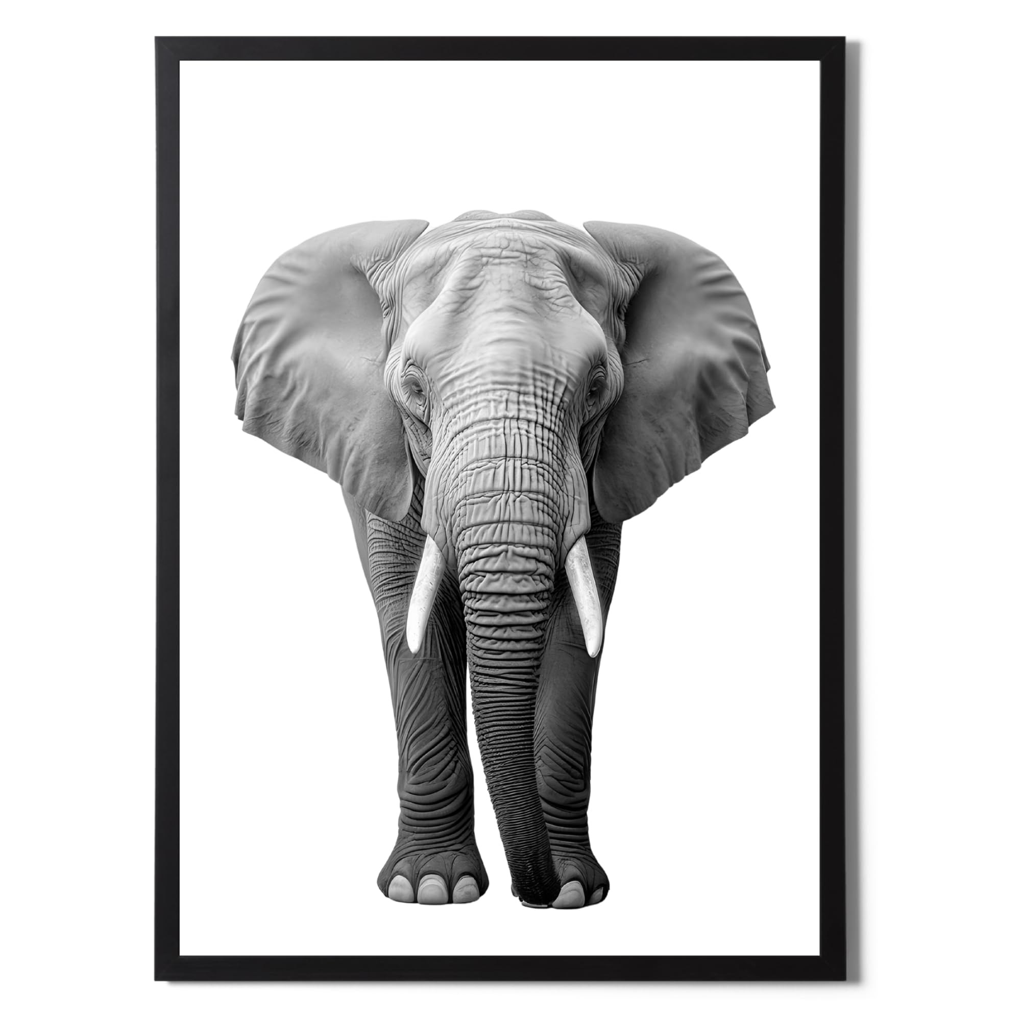State Media Vision Elephant Framed Print In Black And White A4 Size, Modern Simplistic Bathroom/Bedroom Home Decor (, A4 Black Framed)