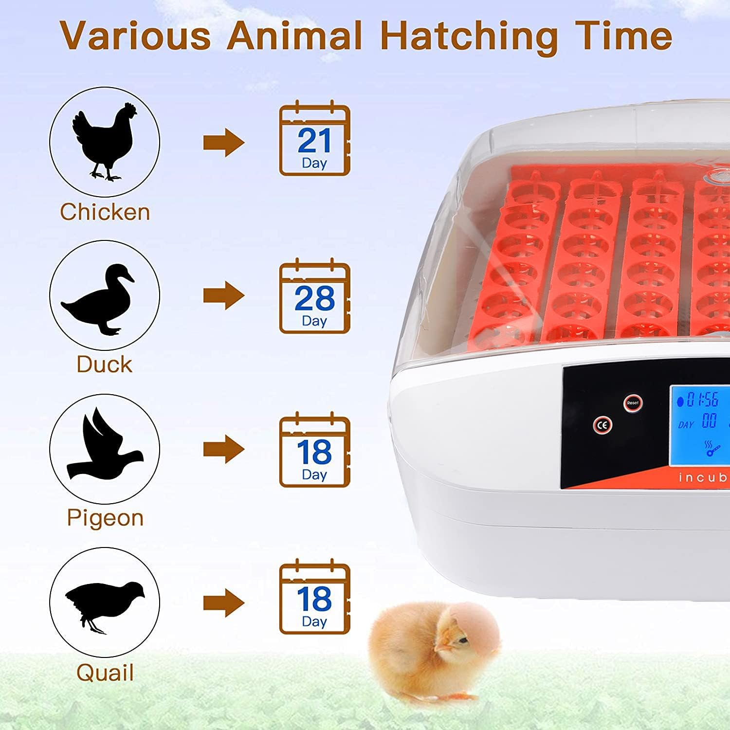 OppsDecor Egg Incubator, Incubators for Hatching Eggs with Fully Automatic Turning and Humidity Control, 90W Digital Clear Chicken Duck Egg Incubator
