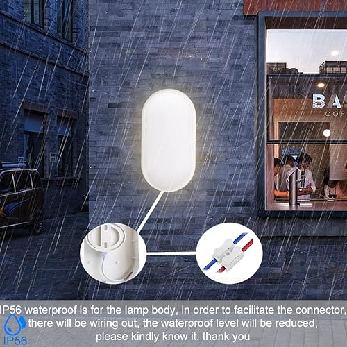 Heyseven LED Kellerlampe, 20W 2000LM Deckenleuchte Wandlampe, IP54 Wasserdicht Augenschutz LED Feuchtraum Ovalleuchte für Garten Badzimmer Porch Garage Flur Keller Garten, Neutralweiß 4000K (2 Stück)