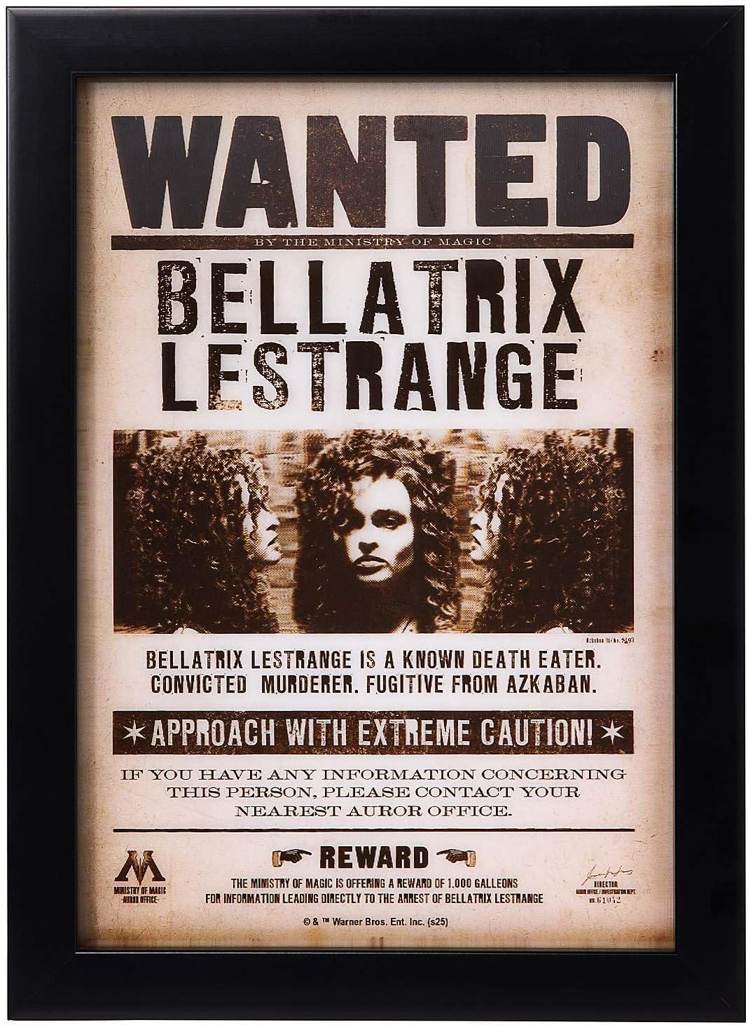 Spirit Halloween Bellatrix Lestrange Mugshot Wall Sign, Officially Licensed, Warner Bros. Pictures, Harry Potter, Death Eater Poster, Room Décor, Multicolor