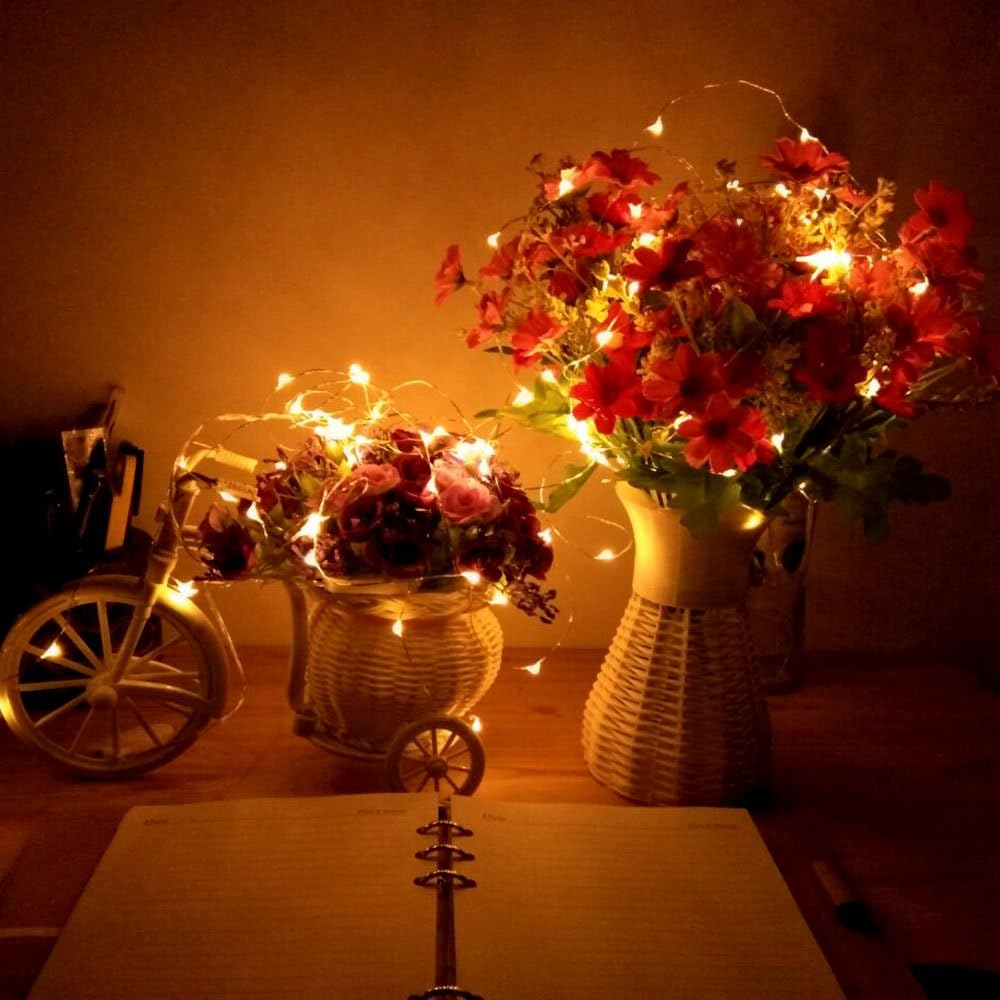 8 Lighting Model Plug in Led String Lights, 1000 Led Fairy Starry Lights on 328ft/100M Copper Wire String Lights + Power Adapter +Remote Control for Christmas(Warm White)