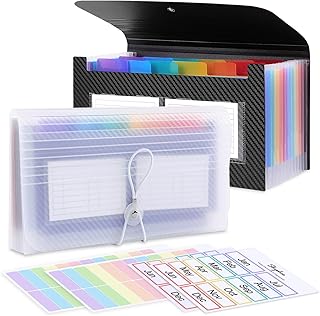 SKYDUE Receipt Coupon Organizer Holder, 2 Packs 13 Pockets Small Accordion File Organizer, Mini Expanding File Folder for Small Business, 10 * 5.5 Inches
