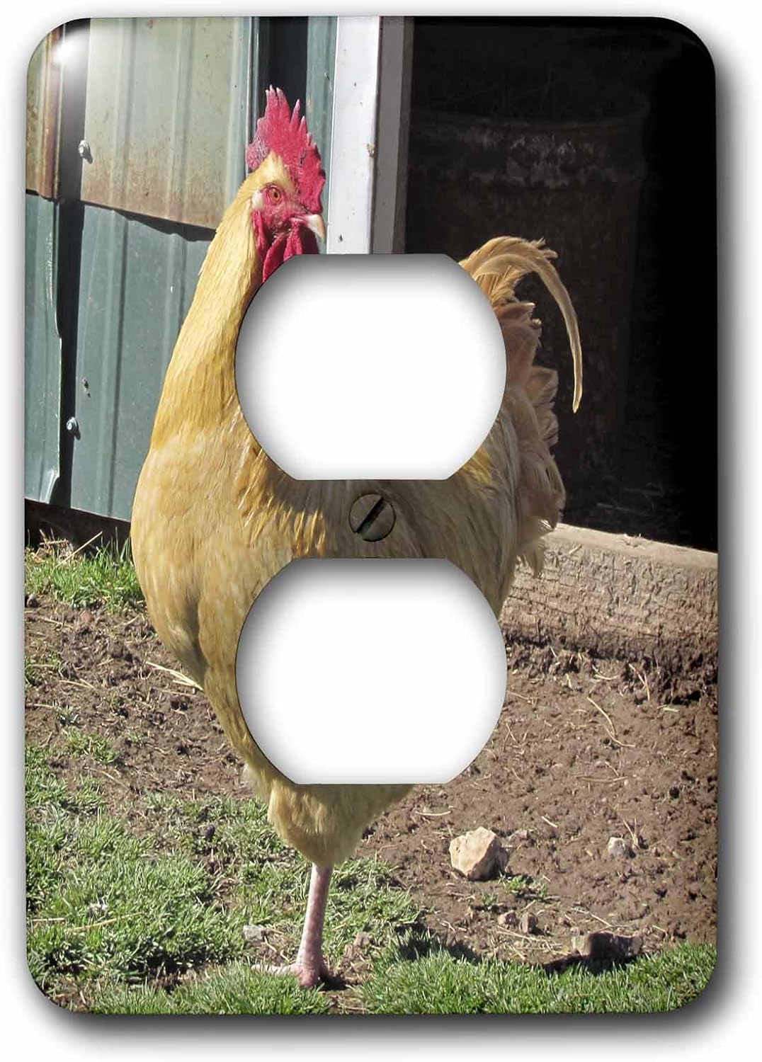 3dRose LLC lsp_50406_6 Tan Rooster 2 Plug Outlet Cover