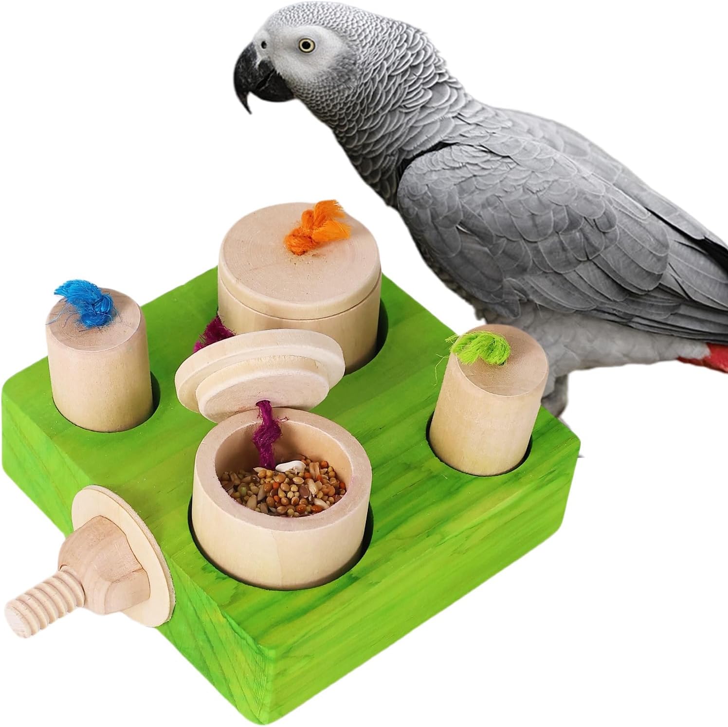 Bird foraging toy with treats