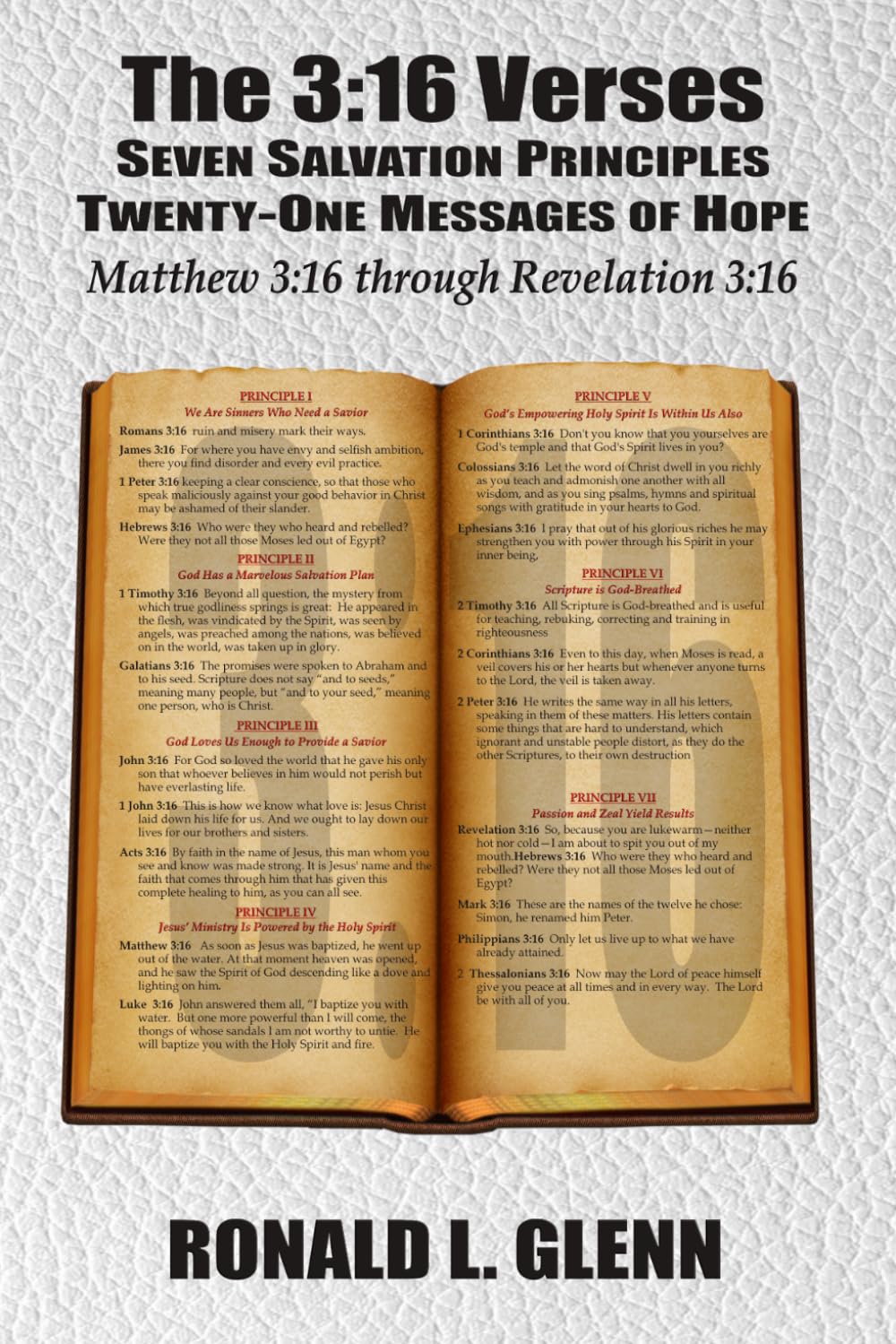 The 3:16 Verses: SEVEN SALVATION PRINCIPLES TWENTY-ONE MESSAGES OF HOPE MATTHEW 3:16 THROUGH REVELATION 3:16