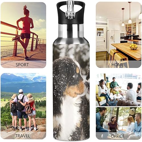 Miniatura 6 de Botella de agua de perro de montaña bernés con aislamiento para niños y niñas, tapa de popote de acero inoxidable, 20 onzas, botella de agua fría