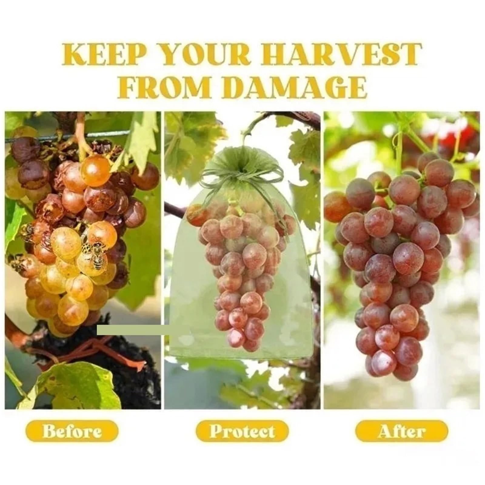 Bolsa Protección para Frutas Bolsas de Malla Reutilizables for protección Frutas, Cubiertas Barrera contra plagas con cordón for Suministros jardín y Plantas, 50-200 Uds(Red,15x20cm-200pc)