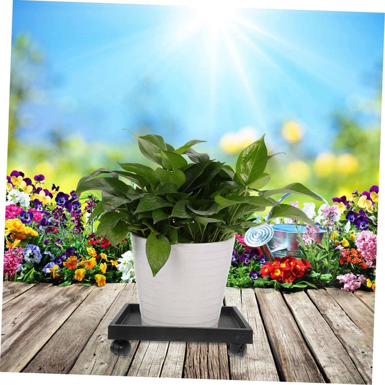 Indoor Plant Tray Base with Wheels Rolling Planter Holder for Easy Plant Mover