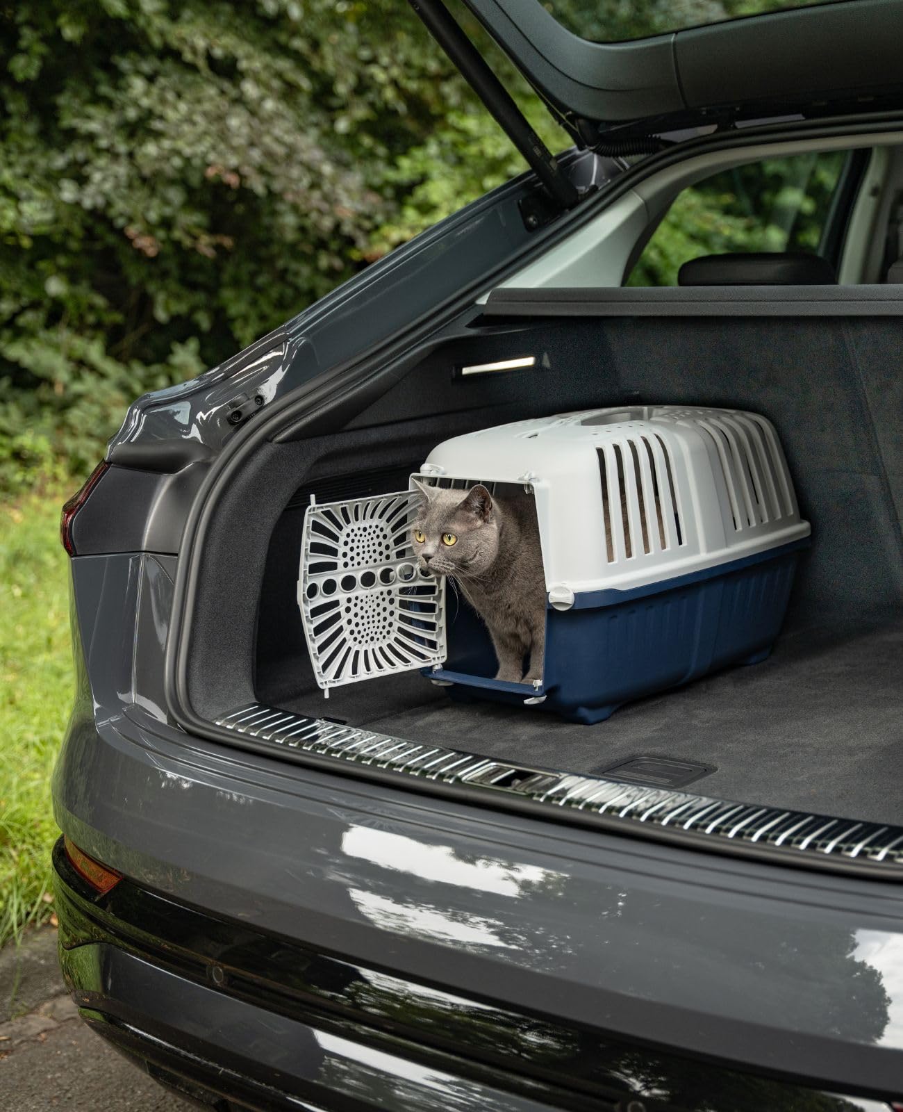 lionto Caja de Transporte de plástico Reciclado para Perros y Gatos, Caja de Transporte para Mascotas, 55x36x36 cm, Azul Oscuro