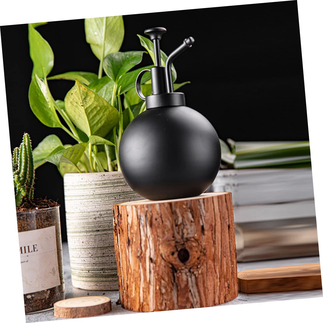 Regadera Rociadora de Acero Inoxidable 500ml Negra para Jardín