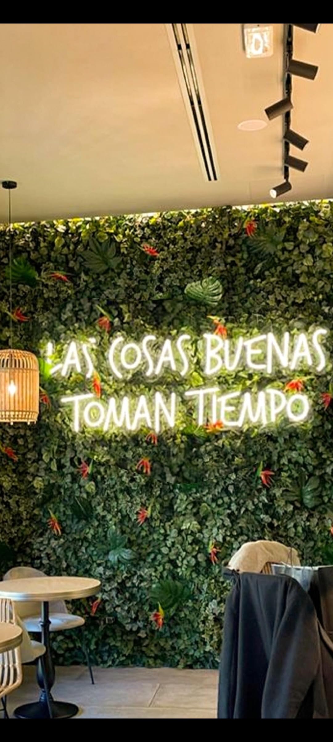 Letrero LED Decorativo de Neón 'Las Cosas Buenas Toman Tiempo', Luz de Pared con Fondo de Hojas Verdes MEDIDAS 75X35 CM ALIMENTADOR 12V