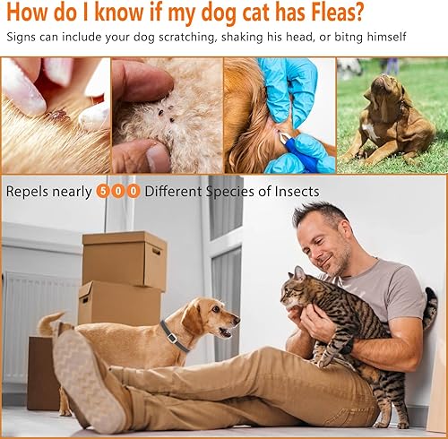 Miniatura 3 de Collar antipulgas para perros y gatos, collar de pulgas y garrapatas para perros, collar para pulgas y garrapatas de mascotas para perros y gatos