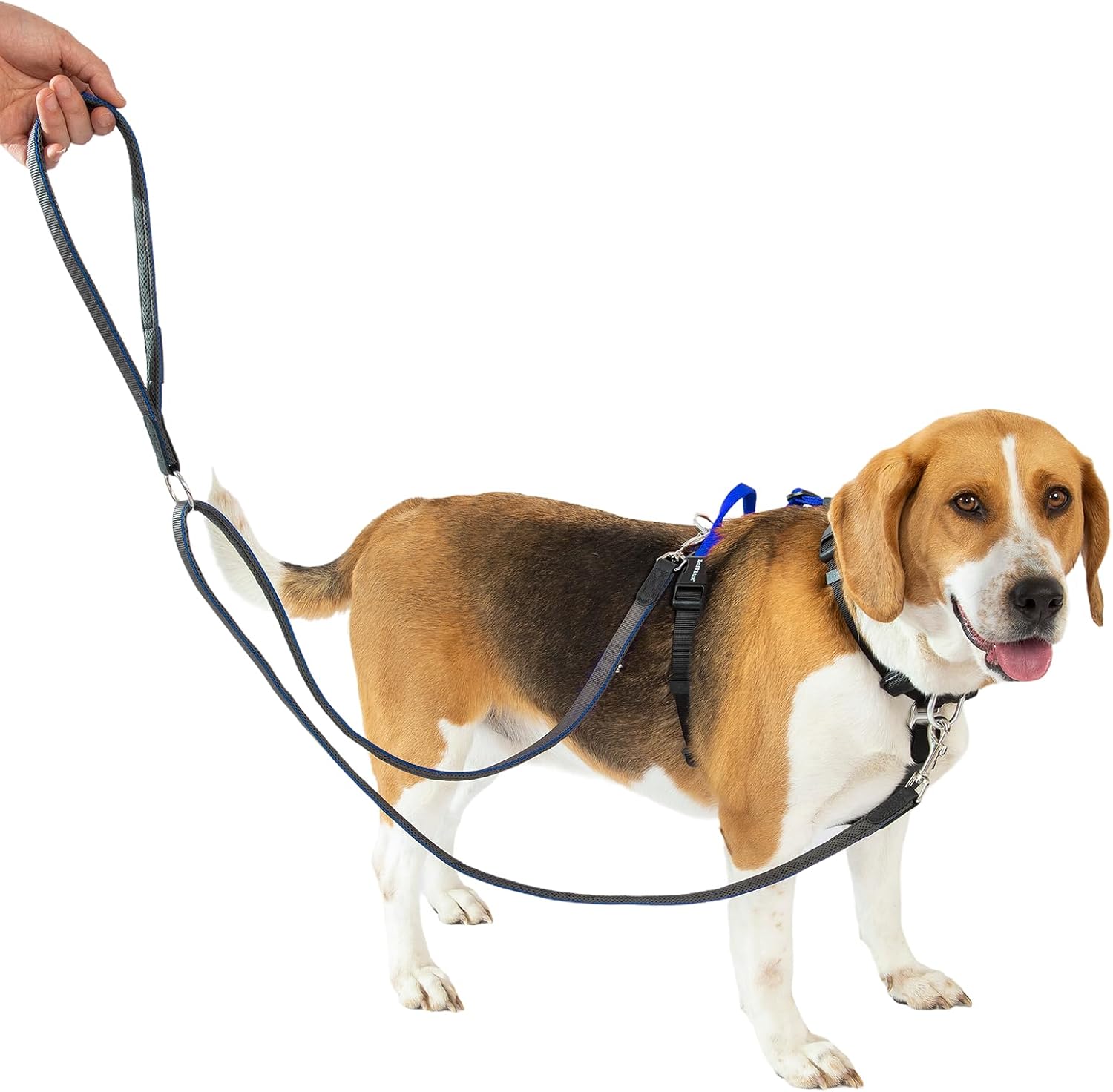 No Pull Dog Harness with Two Points Control Leash Set, Neck Buckle, Aluminum D-Rings, 6 Points Adjustment, Easy Walking and Training, Leash with 2 Clips (Harness-Leash Set, M)
