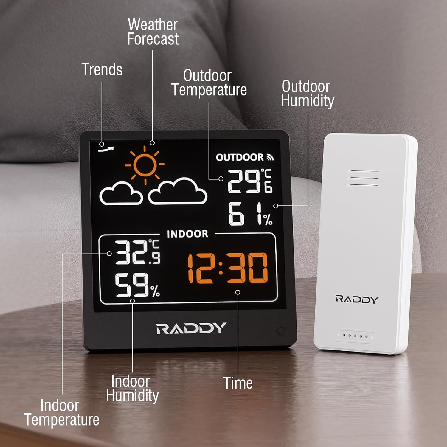 Labeled display of Raddy WF-50V showing weather forecast, outdoor temperature, outdoor humidity, indoor temperature, indoor humidity, and time
