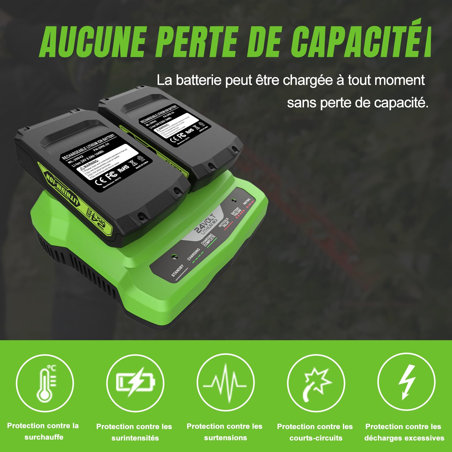 2 pièces Batterie 24V 3,5Ah pour Greenworks