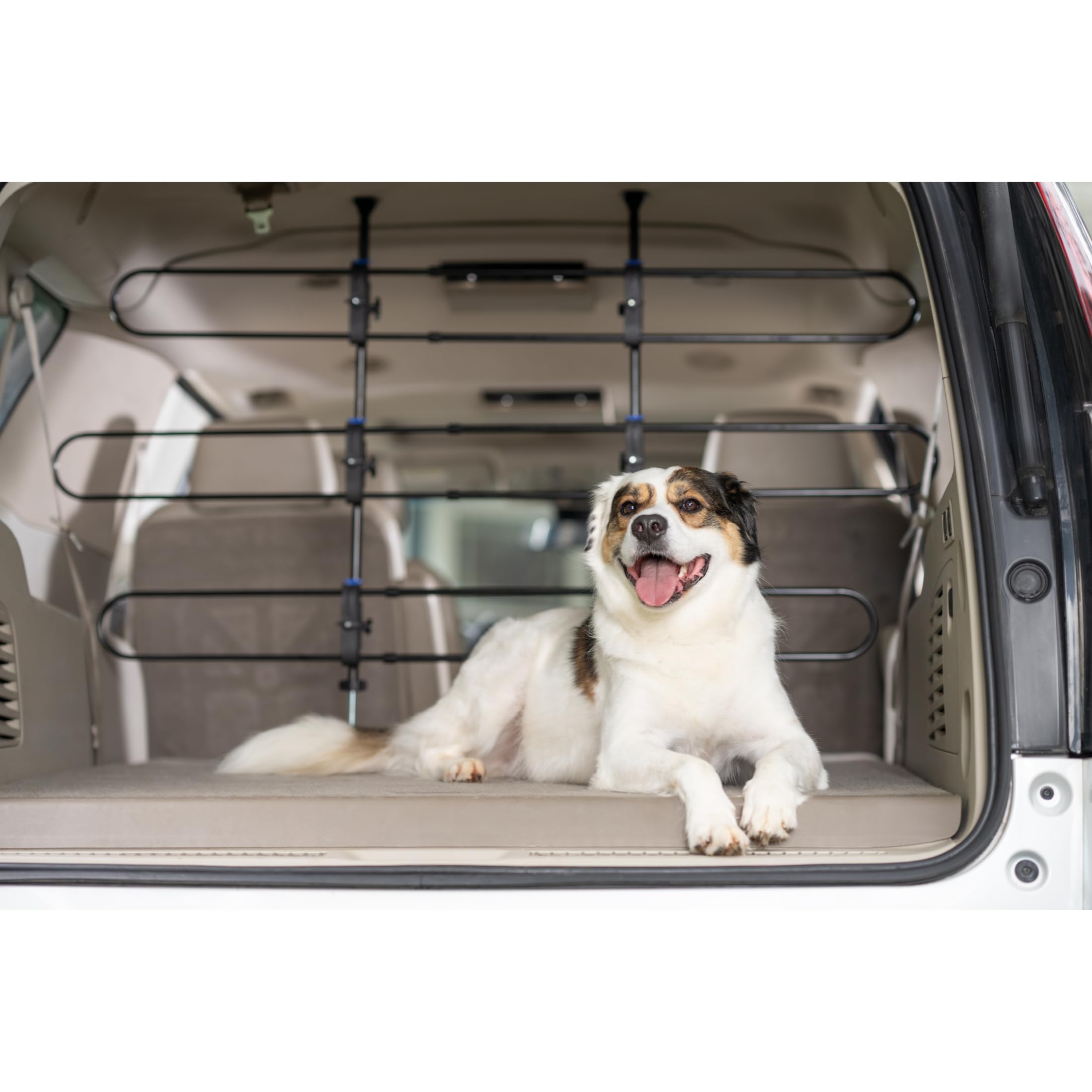 PetSafe Divisore Auto in Metallo per Cani, Adatto alla Maggior Parte di Auto e Minivan