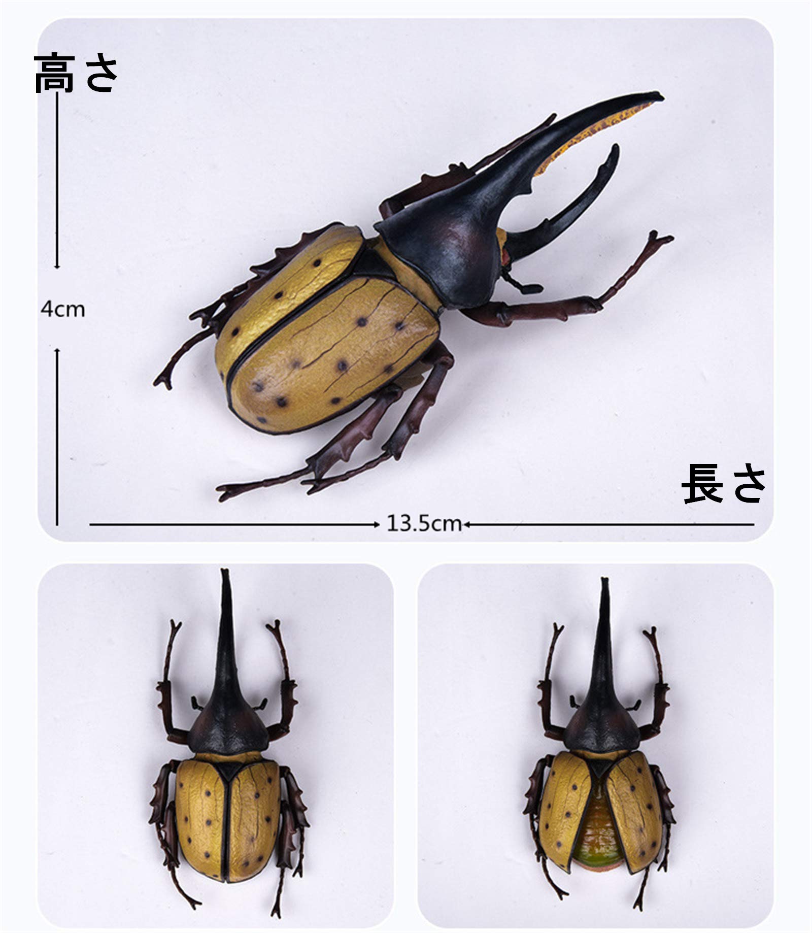 取引中　ヘラクレスオオカブト♂141㎜　希望者には♀おまけ 取引中 ヘラクレスオオカブト♂141㎜ 希望者には♀おまけ