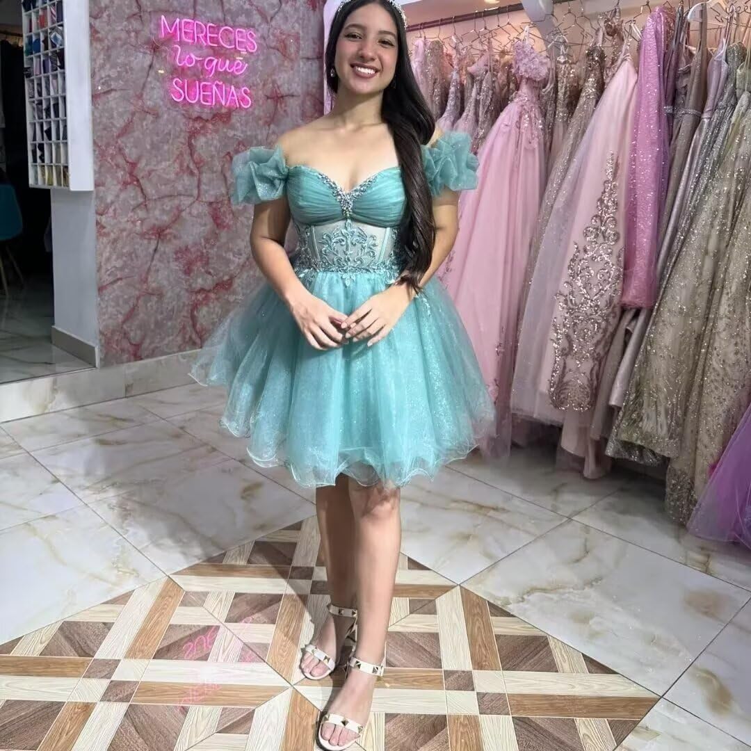 A-line Appliques Tulle Homecoming Dresses for Women, Short Prom Dresses Cocktail Dress Off The Shoulder