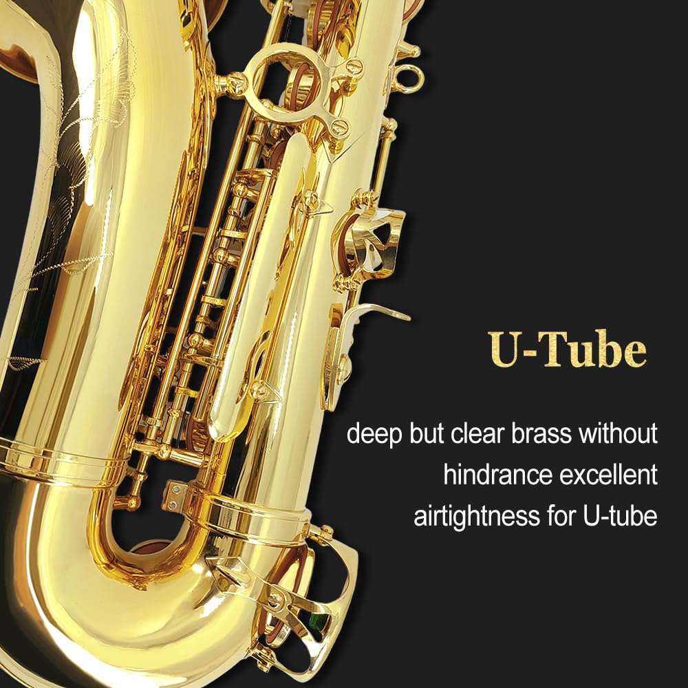 Saxofón alto E-plano, laca dorada con cuerpo de latón, incluye funda, boquilla, cañas, correa para el cuello y más, ideal para principiantes y principiantes (dorado)