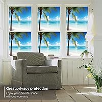 Vista 2 de The Shore - Película de privacidad para ventana de privacidad, agua exótica de playa y palmera por The Shore con imagen de paisaje de cielo claro
