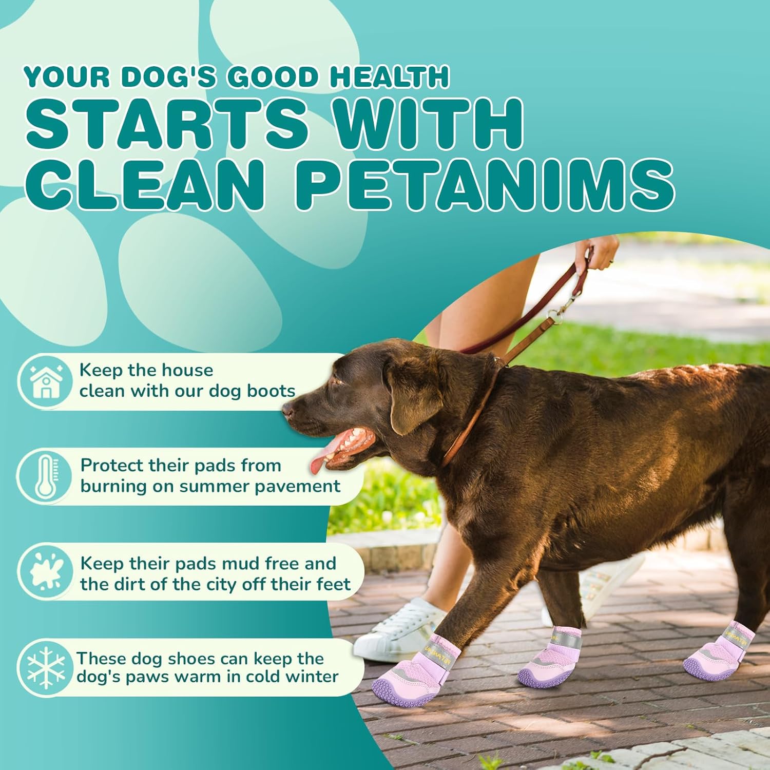 Dogs Feet Dog Paw Raw From Pavement Dogadvice Dog Paw Pads Peeling