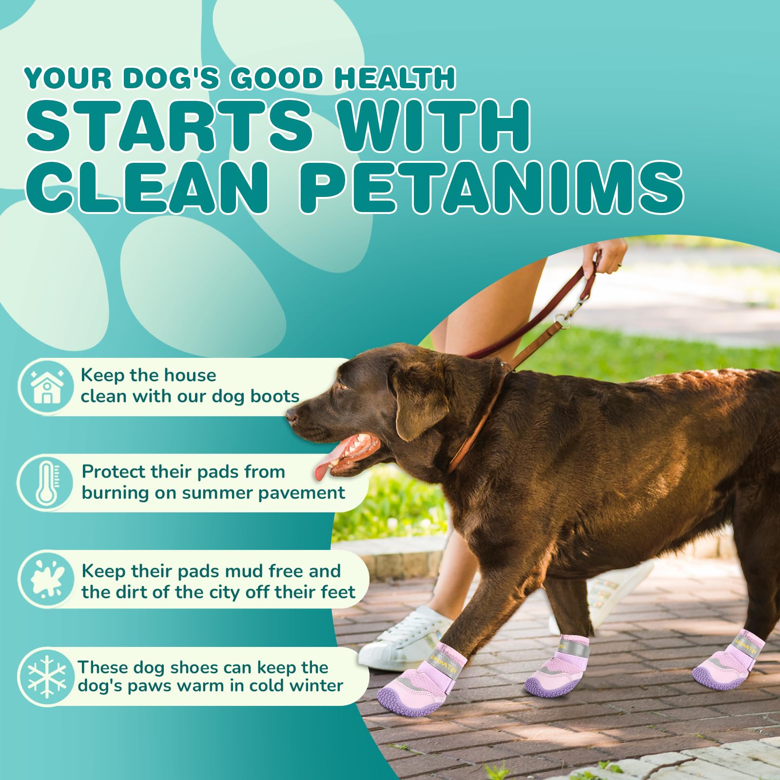Petanims Chaussures pour Chiens de Petite Taille, Bottes et Protections de Pattes pour Les Jours d'hiver enneigés, Semelles antidérapantes imperméables pour Chien, Taille 1