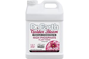 Golden Bloom 2.5gal Planter, White:Illuminate Your Garden with Grace