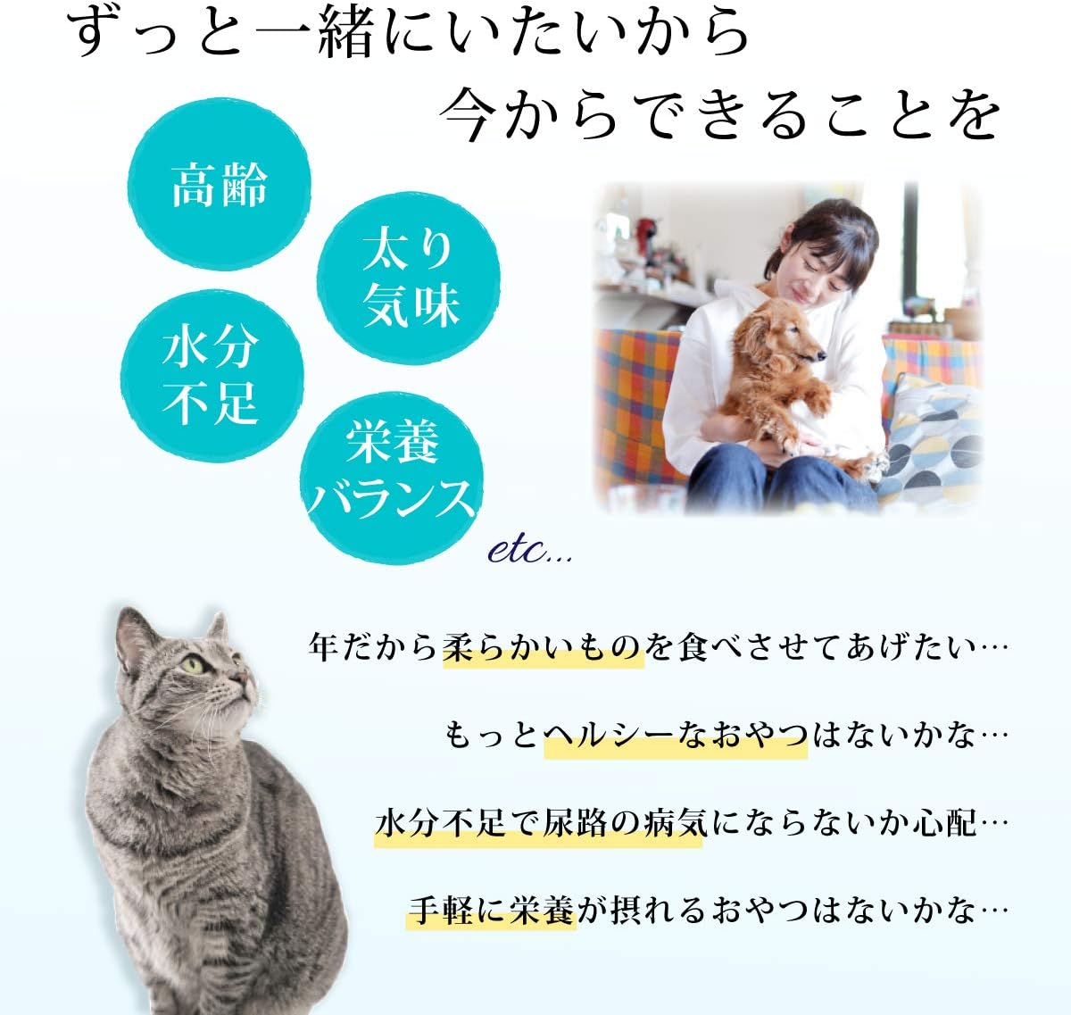 公式】国産 鹿肉 犬 猫 ペット 健康維持 おやつ サプリメント ドッグフード キャットフード 酵素 鹿肉おやつ お得パック〈鹿肉健康 ジュレ30包入り×２パック〉 : しっぽ企画Yahoo!店 - 通販 - Yahoo!ショッピング 【公式】国産 鹿肉 犬 猫 ペット 健康維持 おやつ  ... 国産 鹿肉 犬 猫 ペット 健康維持 おやつ サプリメント ドッグフード キャットフード 酵素 鹿肉おやつ お得パック〈鹿肉健康ジュ