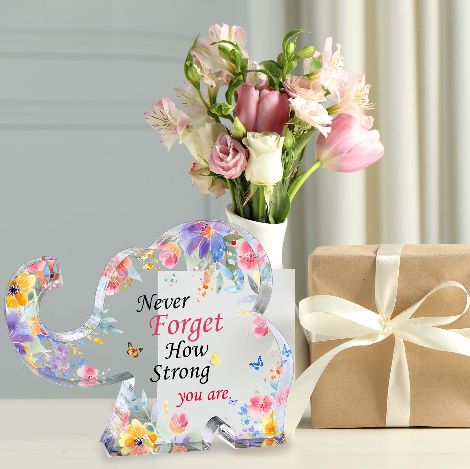 Inspirational Gifts for Women Elephant Gifts for Female Cheer up Gifts for Women Acrylic Elephant Shape Desk Decorative Sign Office Desk Accessories Gift for Mom Aunt Sister Daughter