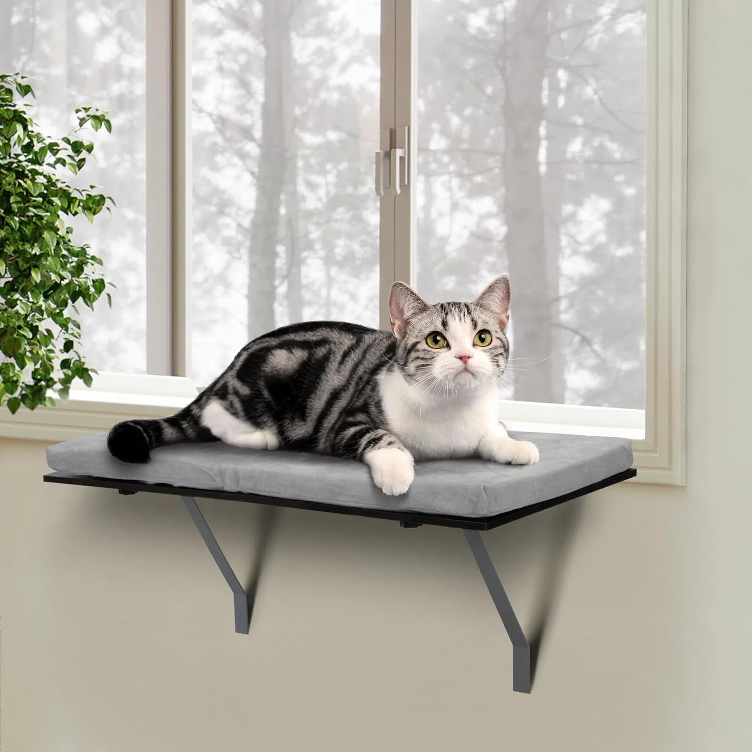 Window Cat Perch, Gray Cushioned Shelf Mount, Pet Bed Seat