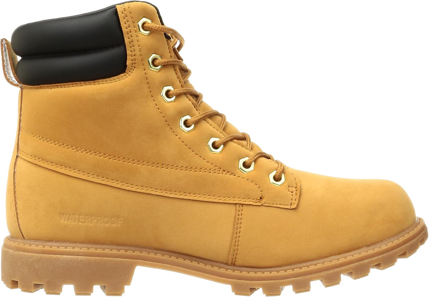 現物「フィカス・グランディス」8号 Fiicus grandis ブラウンゴム