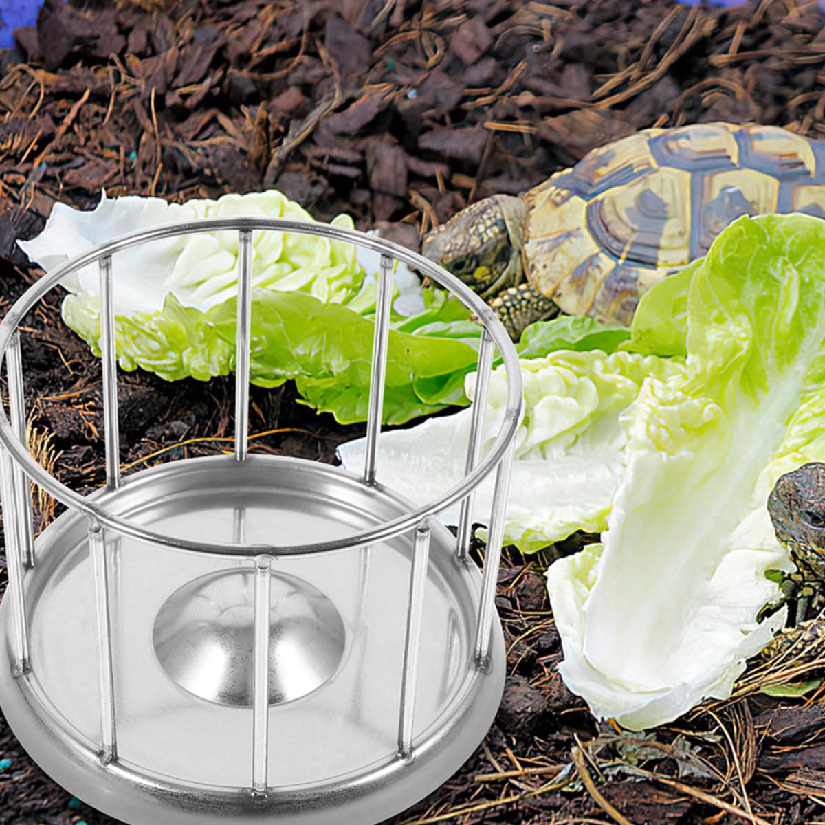 Artibetter Gamelle Surface Lisse Acier Inoxydable Argenté Terrarium en pour Mangeoire Reptile Adaptée pour Nourriture Tortue Terrestre et Animaux de Compagnie