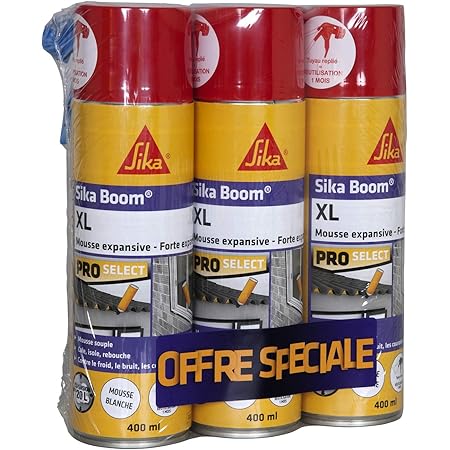 Rubson Mousse Expansive Power Mousse Pour Isolation Acoustique Et Thermique Pour Remplissage De Cavite Et Calage D Objets Mousse Multi Usages Blanche 500 Ml Amazon Fr Bricolage