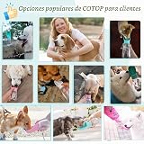 Ver la foto 6