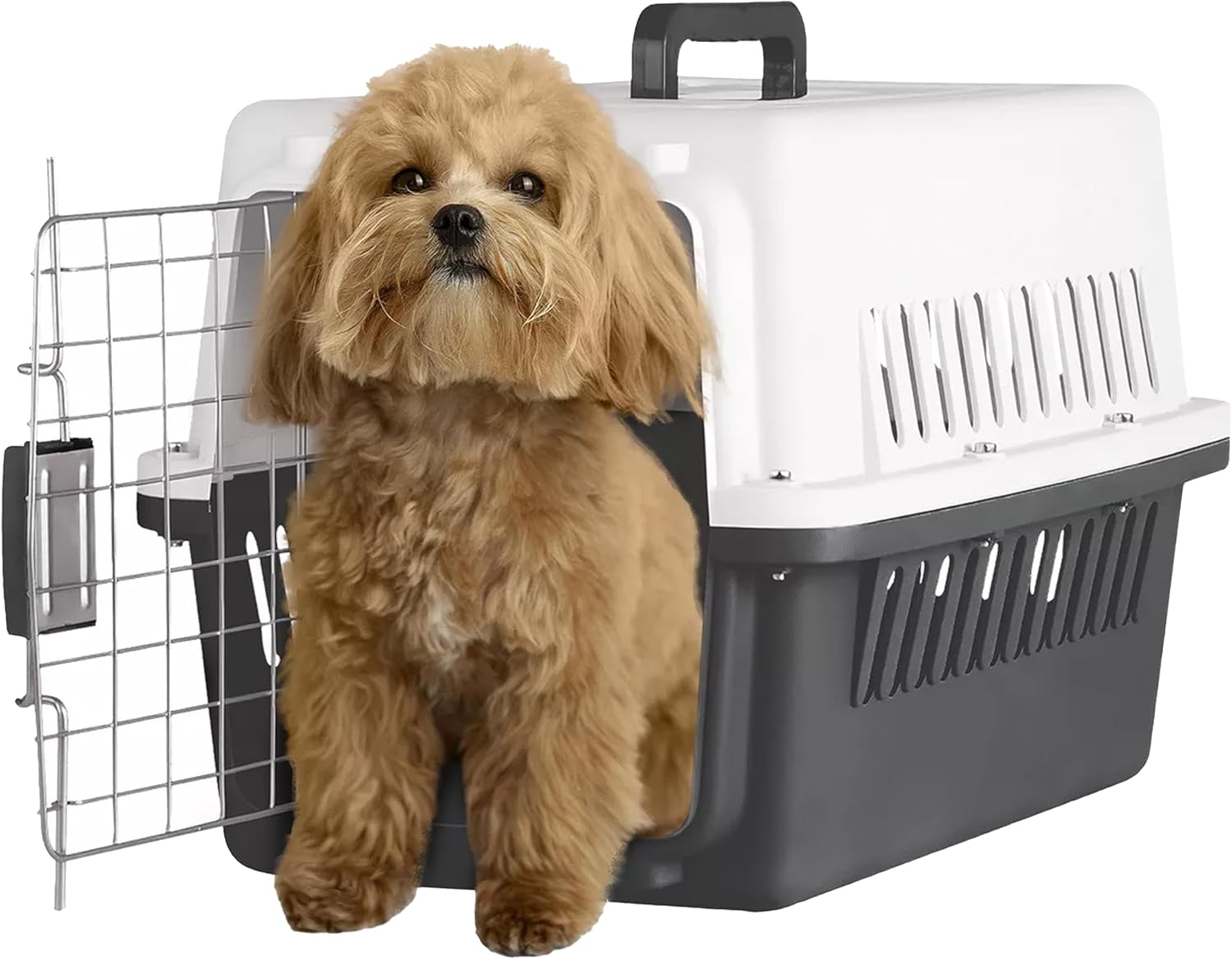 🐾 Caja Grande Portadora Para Gatos Y Perros – Jaula De Viaje Resistente (Transportín Amarillo)