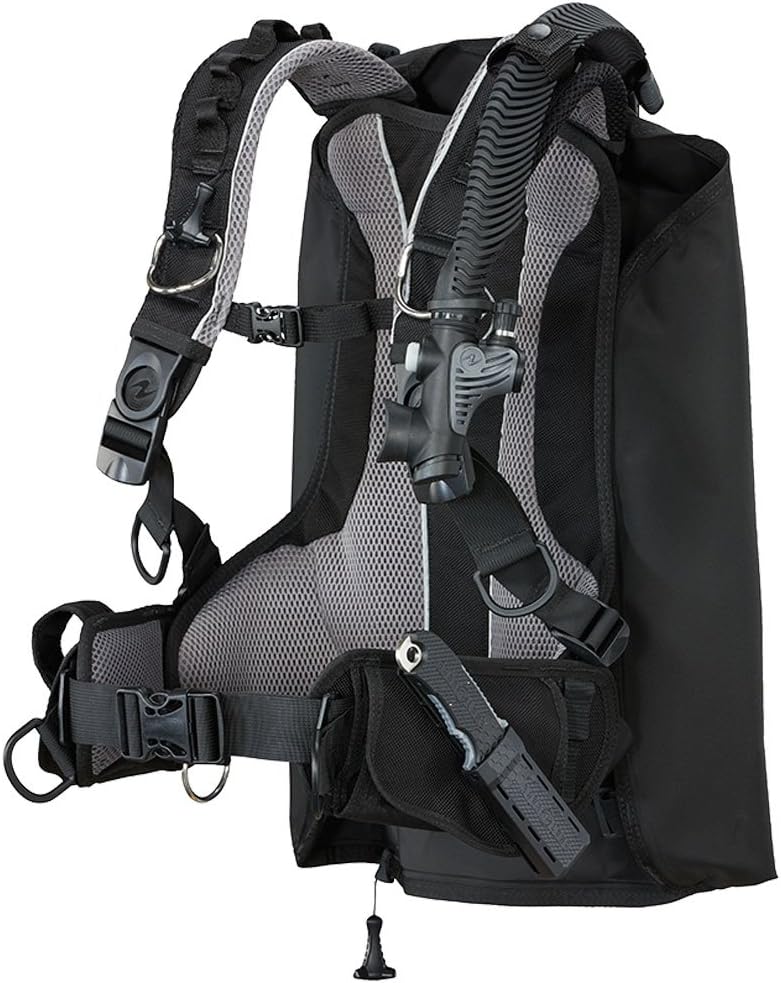 Rogue BC