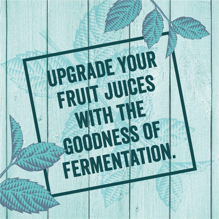 Image of Zoh Probiotics Mint Kombucha | (330 ml, Pack of 6) Tea with detoxifying acids, and digestive enzymes. Raw, unfiltered, and unpasteurized with Mother | Made with real mint tea