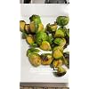 Product Photo 7