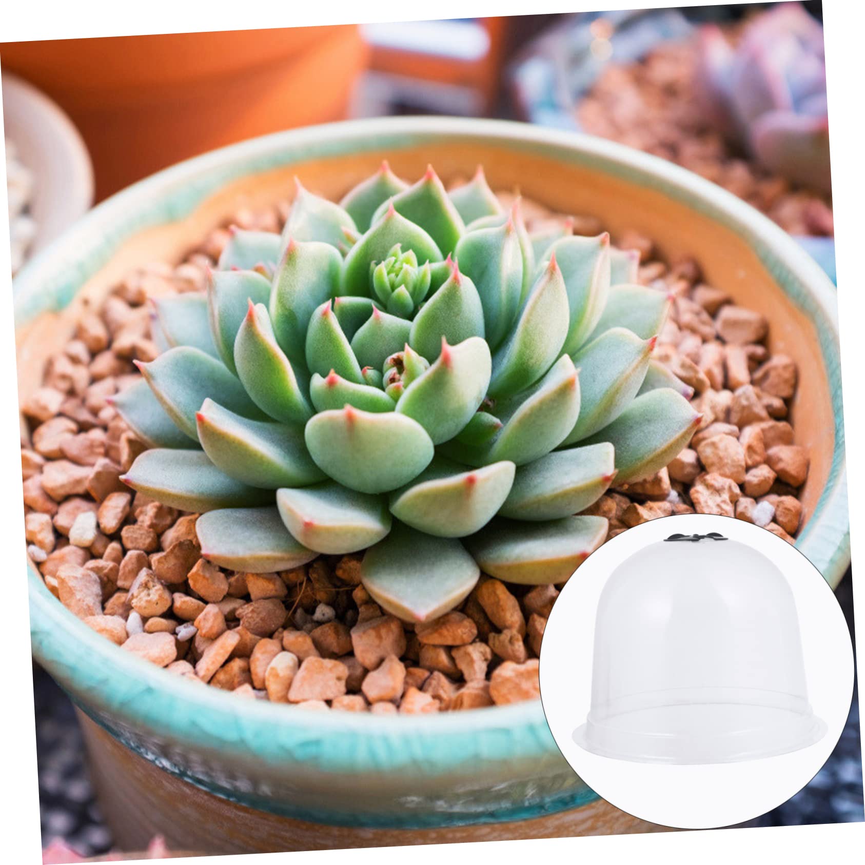 POPETPOP Cloches de Protection pour Plantes en PVC, Lot de 6 Pièces | Étiquettes de Jardin 10 Pièces et 18 Piquets de Fixation, Réutilisable, Résistance UV Couleur Aléatoire