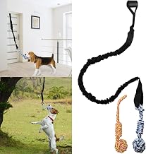 Spring Pole Dog Rope Outdoor Tug of War Toy for Pitbull Medium to Large Dogs Bungee Hanging Exercise Ropes Muscle Builder Interactive Toys (Dog Rope Toys)