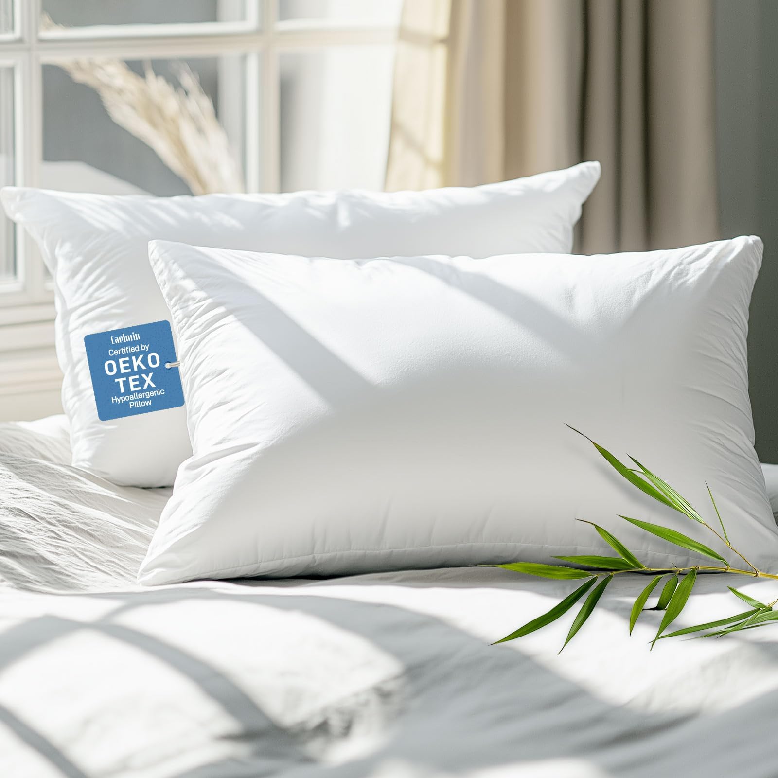 Casa Decor Silk Blend Pillow Hypoallergenic Gusset Cotton Cover Single Pack