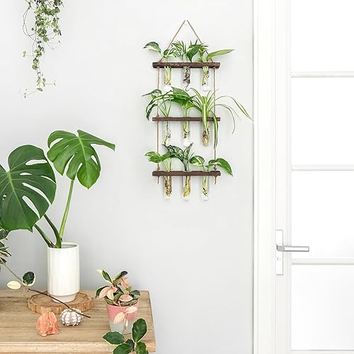 Miniatura 33 de Mkono Tubos de propagación de plantas, terrario colgante de pared de 3 niveles con soporte de madera, mini tubo de ensayo, florero de flores, Marrón